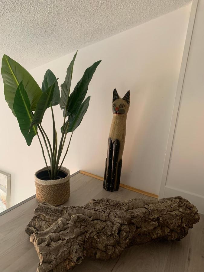 Duplex Raphael- Wi-Fi Et Parking Prive Apartment Toulon Bagian luar foto